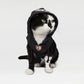 Bottlecat the Black and White Cat wearing the Mic Drop Deluxe Pet Hoodie in size Extra Small.