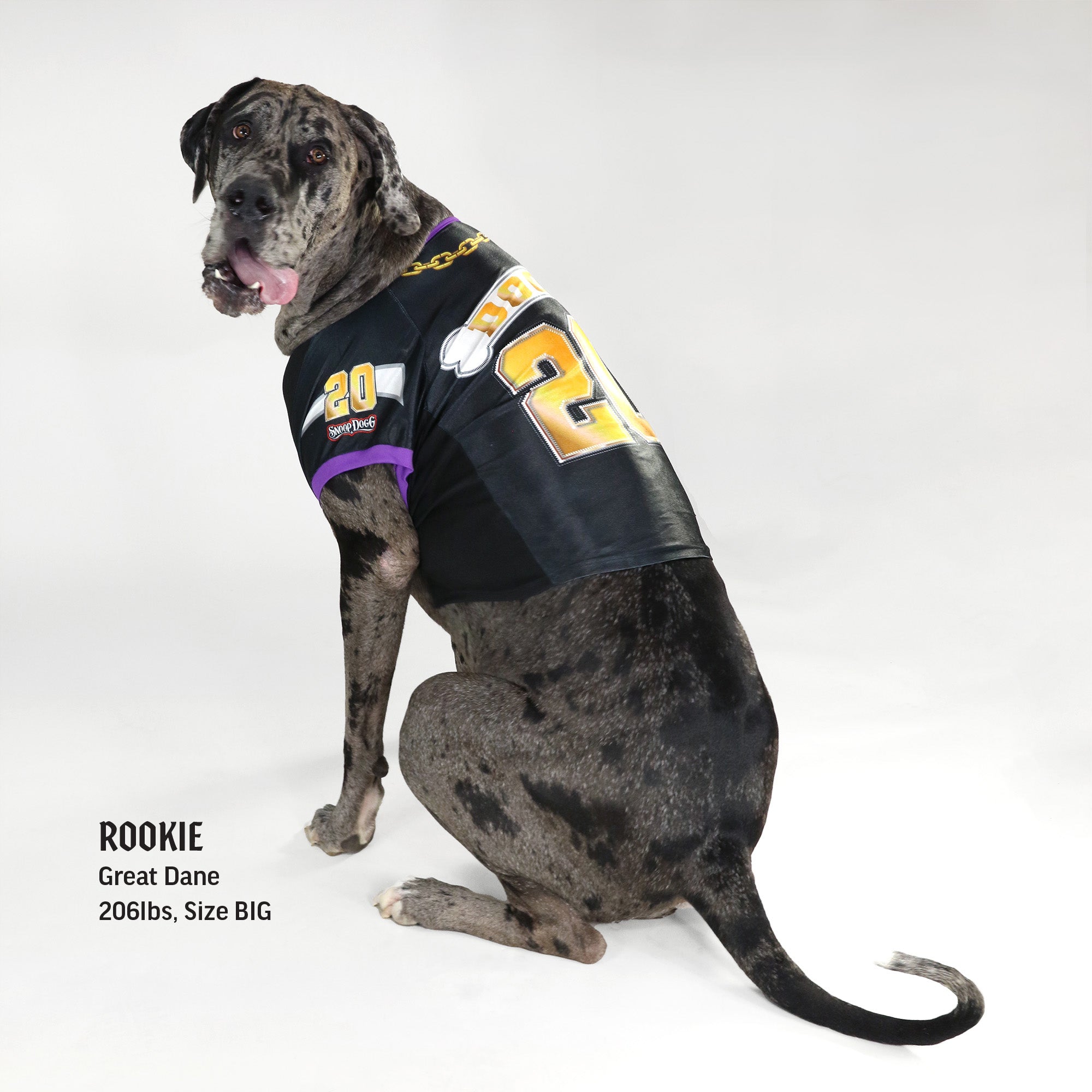 Snoop Doggie Doggs Deluxe Pet Jersey Halftime Large
