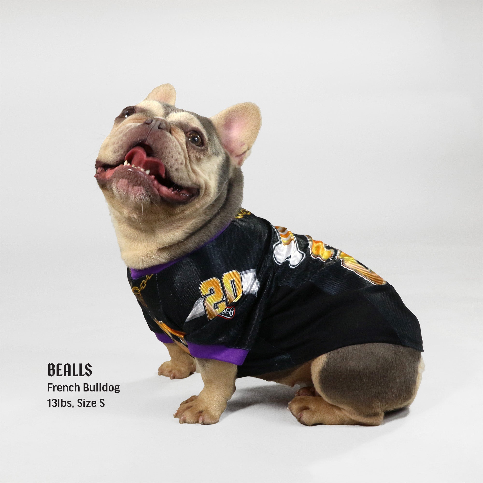 Deluxe Pet Jersey – Off The Chain – Snoop Doggie Doggs