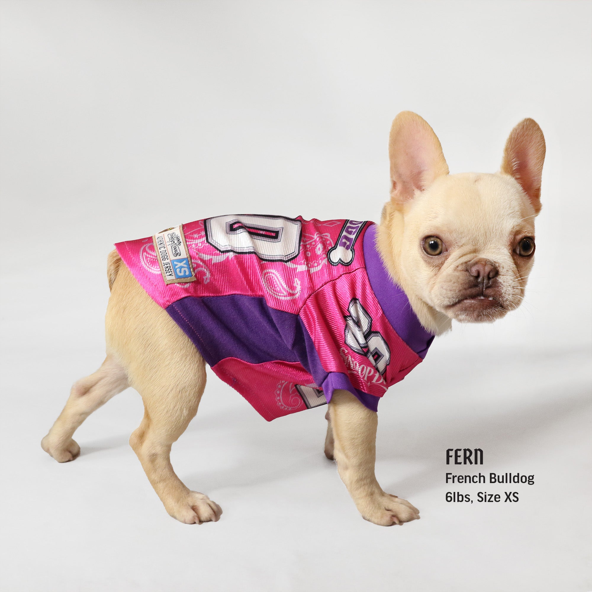 Pink New England Patriots Dog Jersey Size XS