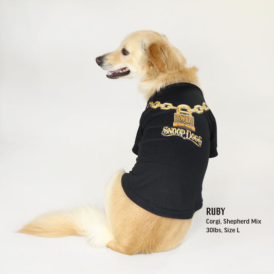 Ruby the Corgi, Shepherd Mix wearing the Off The Chain Deluxe Pet T-Shirt in size Large.