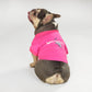 Chunky Monkey the French Bulldog wearing the Boss Lady Deluxe Pet T-Shirt in size Medium.