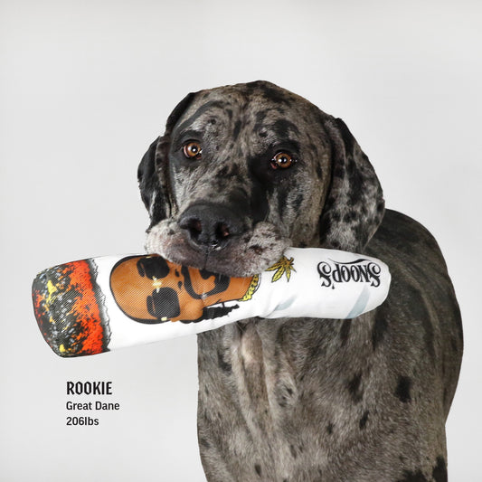 Snoop Doggie Doggs Deluxe Pet Jersey, Halftime, Medium : .in: Pet  Supplies