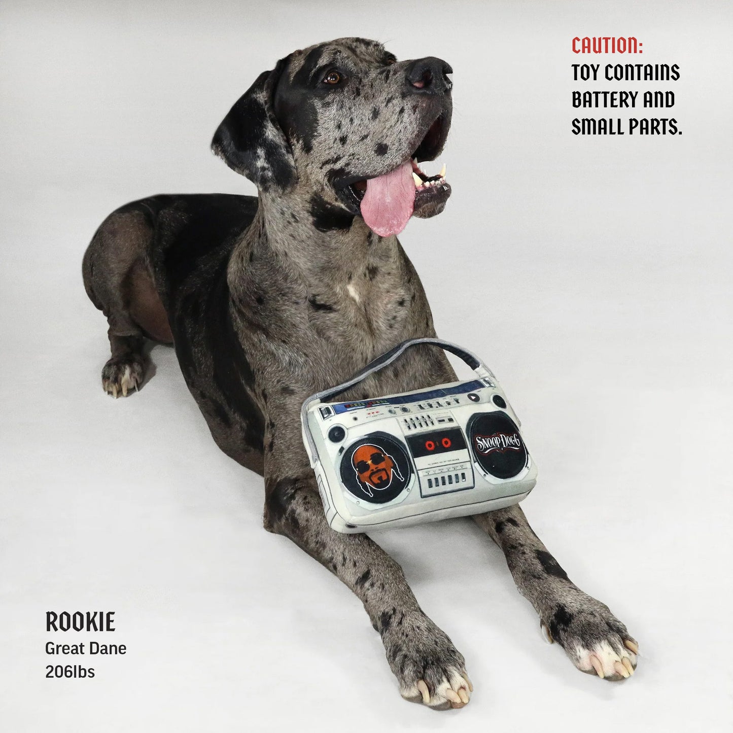 Deluxe Boom Box Pet Toy