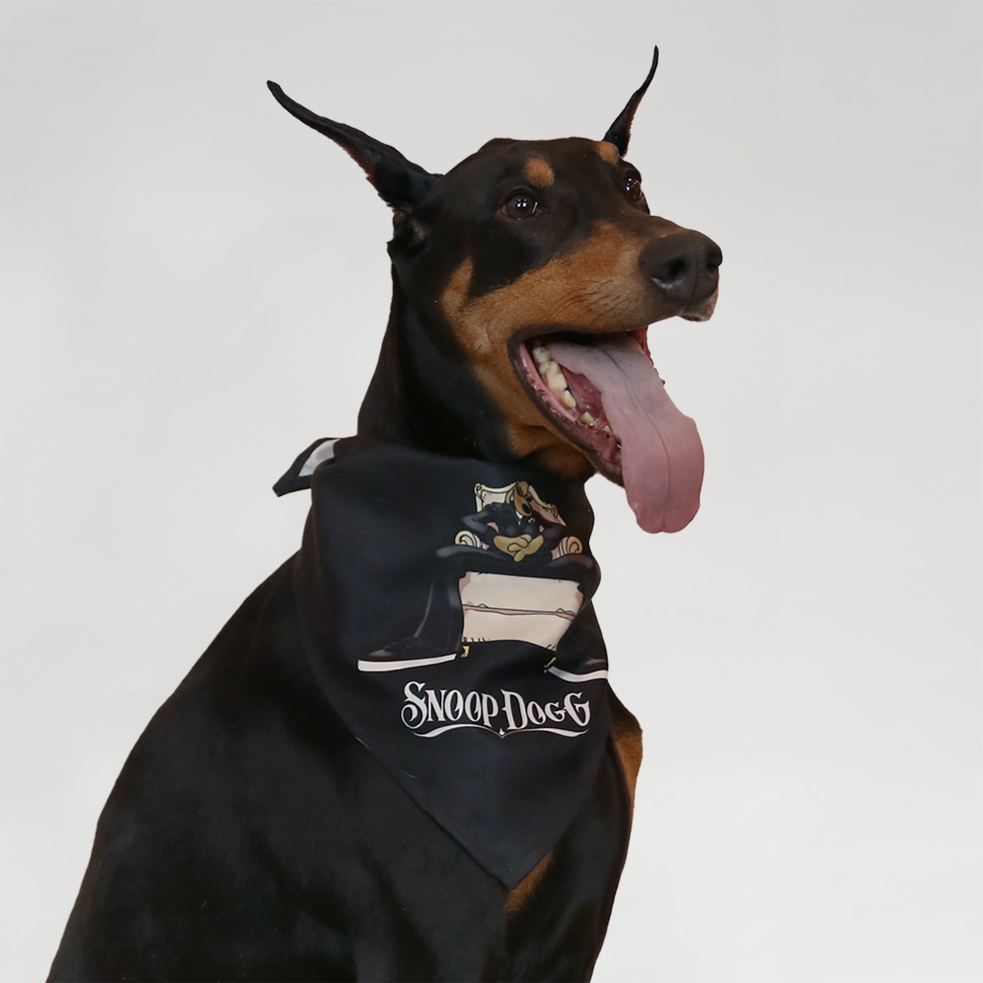 Personalized Baseball Jersey Dog Bandana - Medium