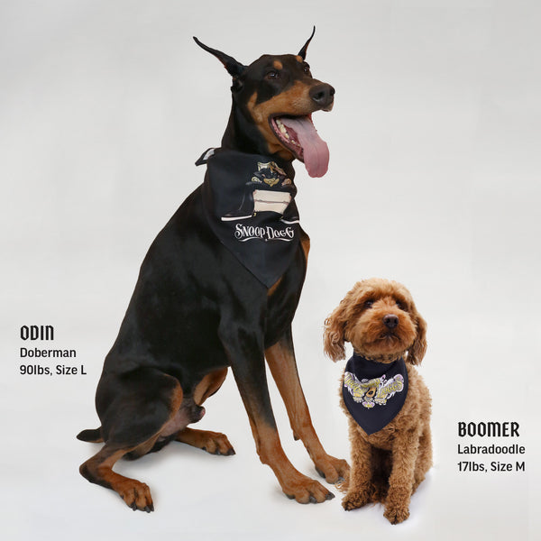 Deluxe Pet Bandana Set of 2 – Halftime / Off The Chain – Snoop