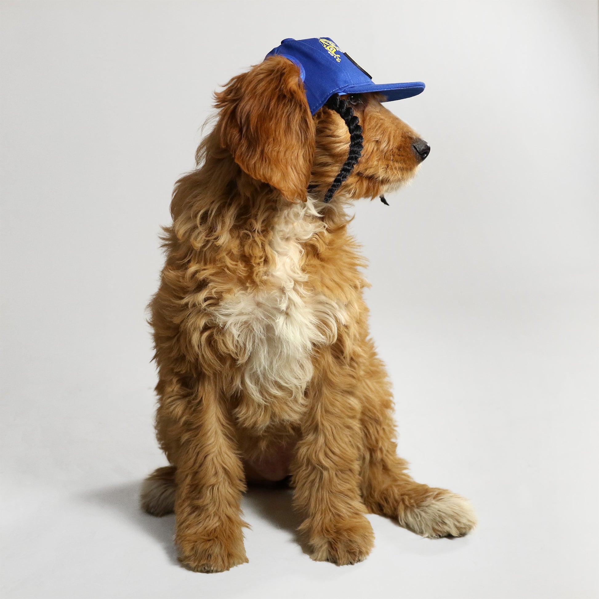 Snoop Doggie Doggs Deluxe Pet Baseball Hat - Classic Snoop - Medium