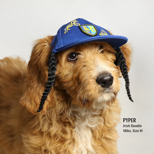 Pyper the Irish Doodle wearing a Medium Halftime Deluxe Pet Baseball Hat.
