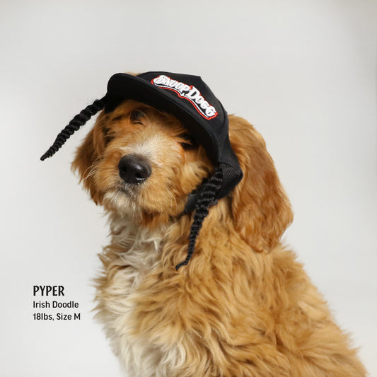 Pyper the Irish Doodle wearing a Medium Classic Snoop Deluxe Pet Baseball Hat.