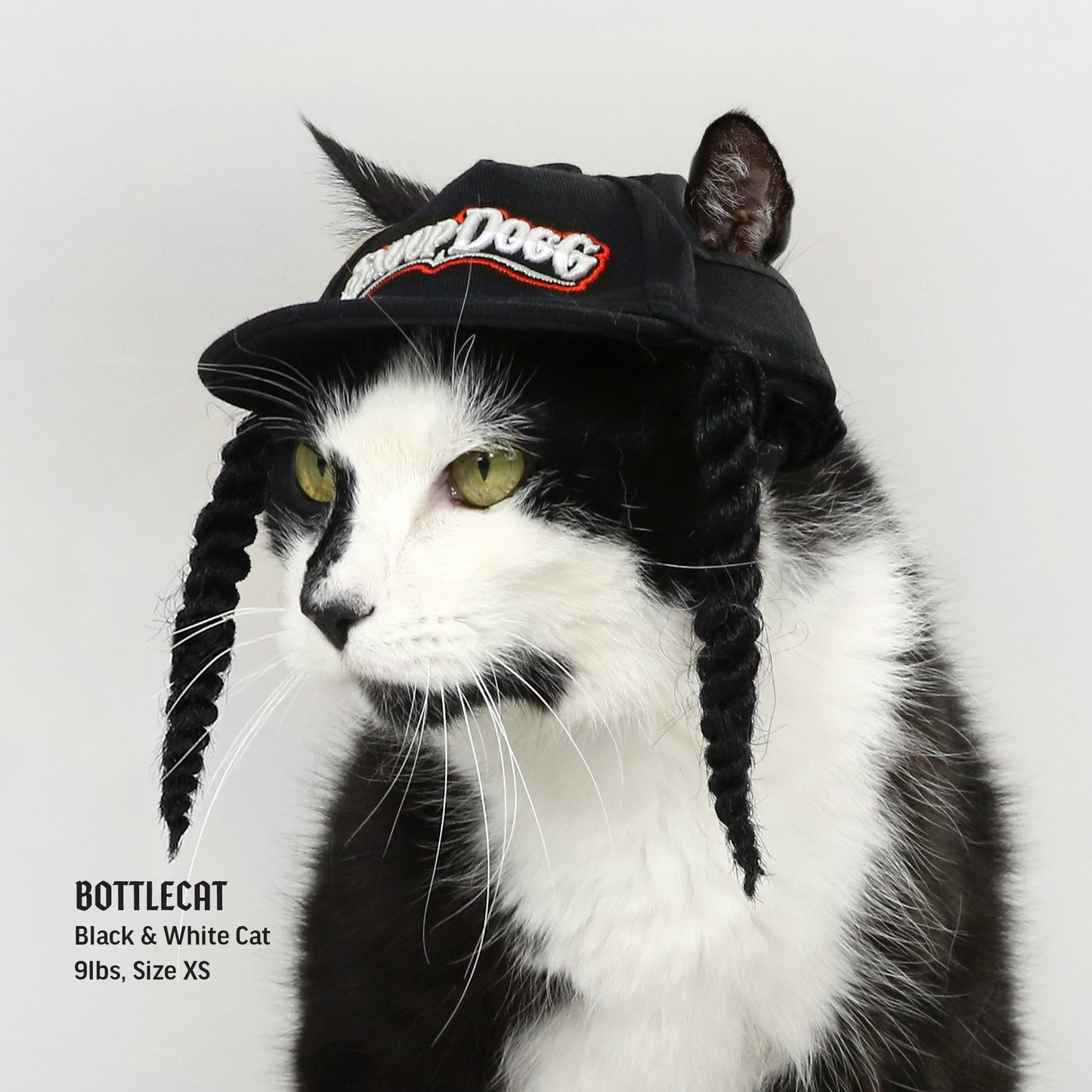Bottlecat the Black and White Cat wearing an Extra Small Classic Snoop Deluxe Pet Baseball Hat.