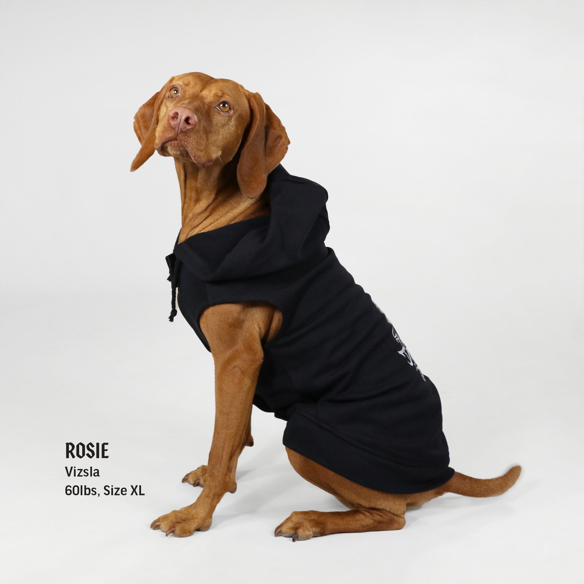 Rosie the Vizsla wearing the Throw A Dogg A Bone Deluxe Pet Hoodie in size Extra Large.