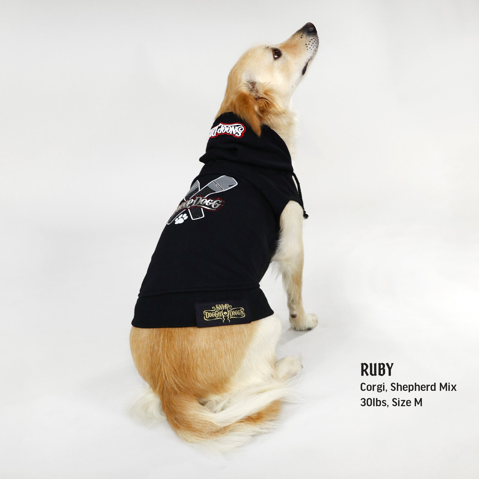 Ruby the Corgi, Shepherd Mix wearing the Mic Drop Deluxe Pet Hoodie in size Medium.