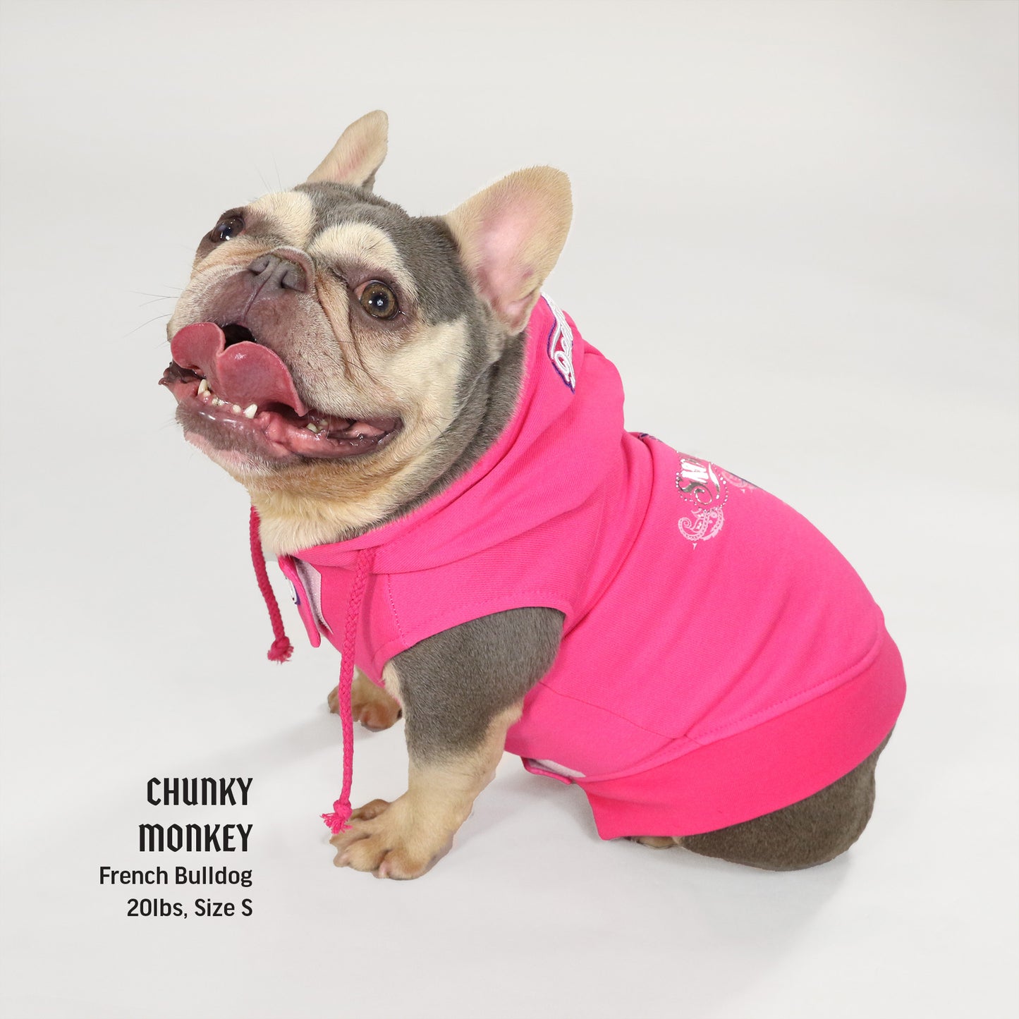 Chunky Monkey the French Bulldog wearing the Boss Lady Deluxe Pet Hoodie in size Small.