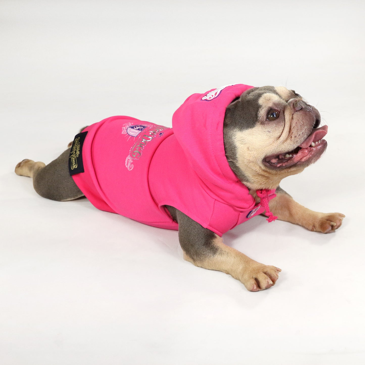 Chunky Monkey the French Bulldog wearing the Boss Lady Deluxe Pet Hoodie in size Small.