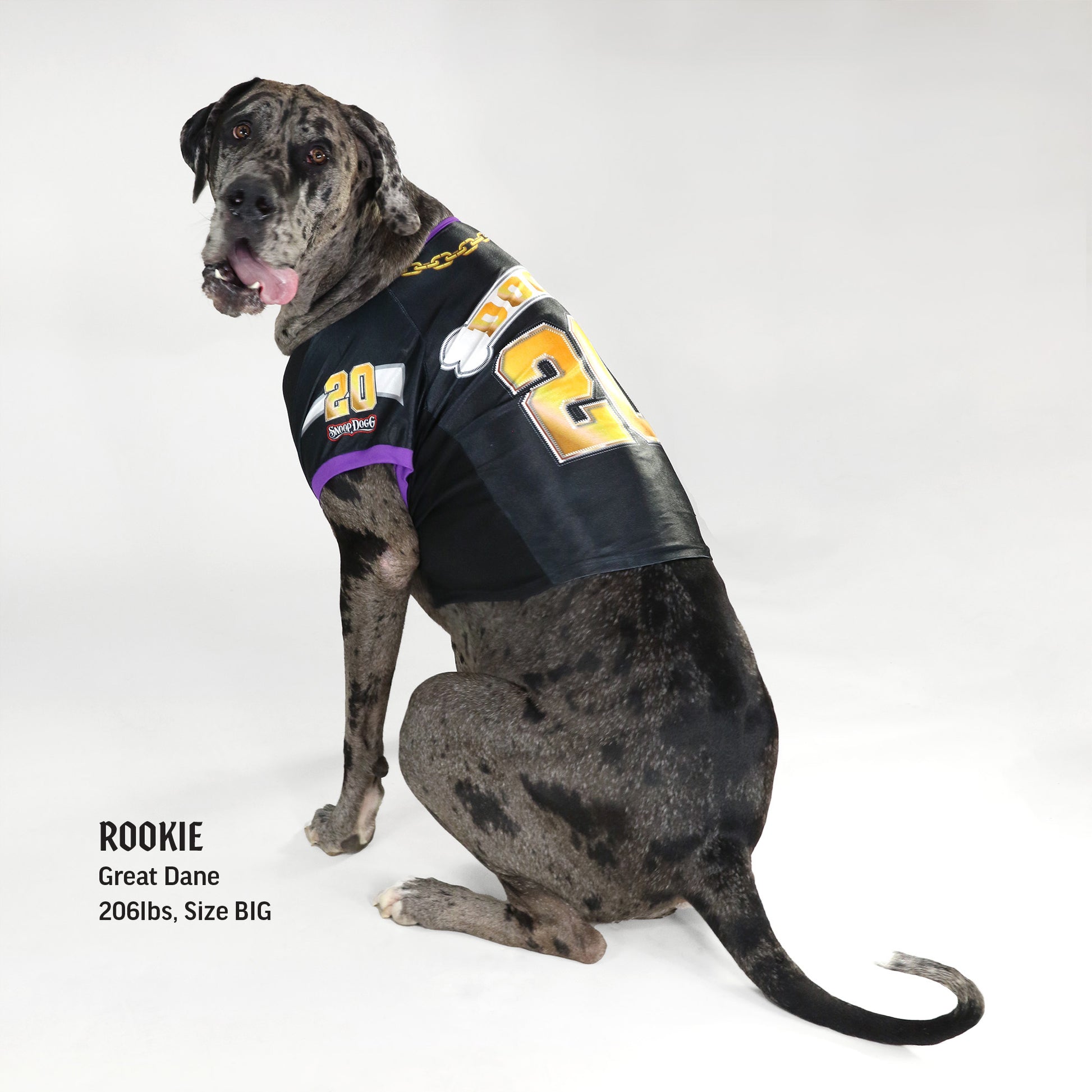 Rookie the Great Dane wearing the Off The Chain Deluxe Pet Jersey in size Big.