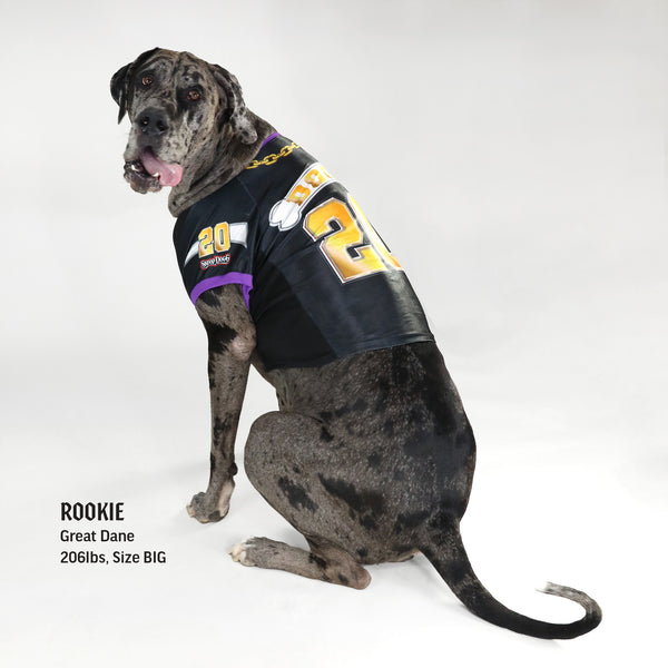 Deluxe Pet Jersey – Halftime – Snoop Doggie Doggs