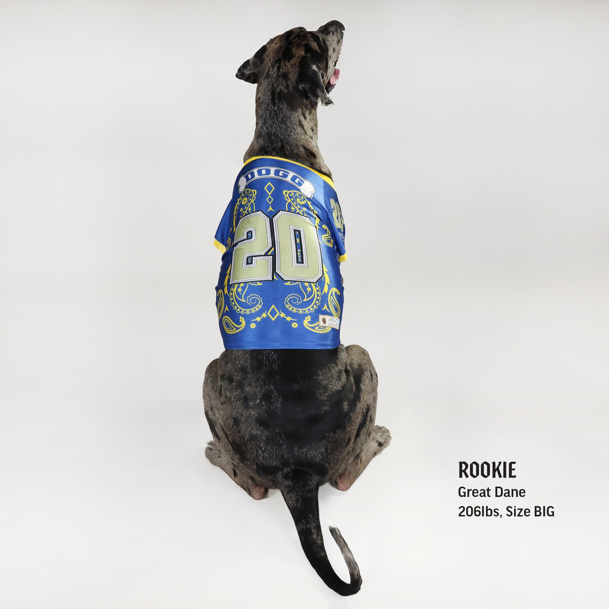 Deluxe Pet Jersey – Halftime Size BIG – Snoop Doggie Doggs