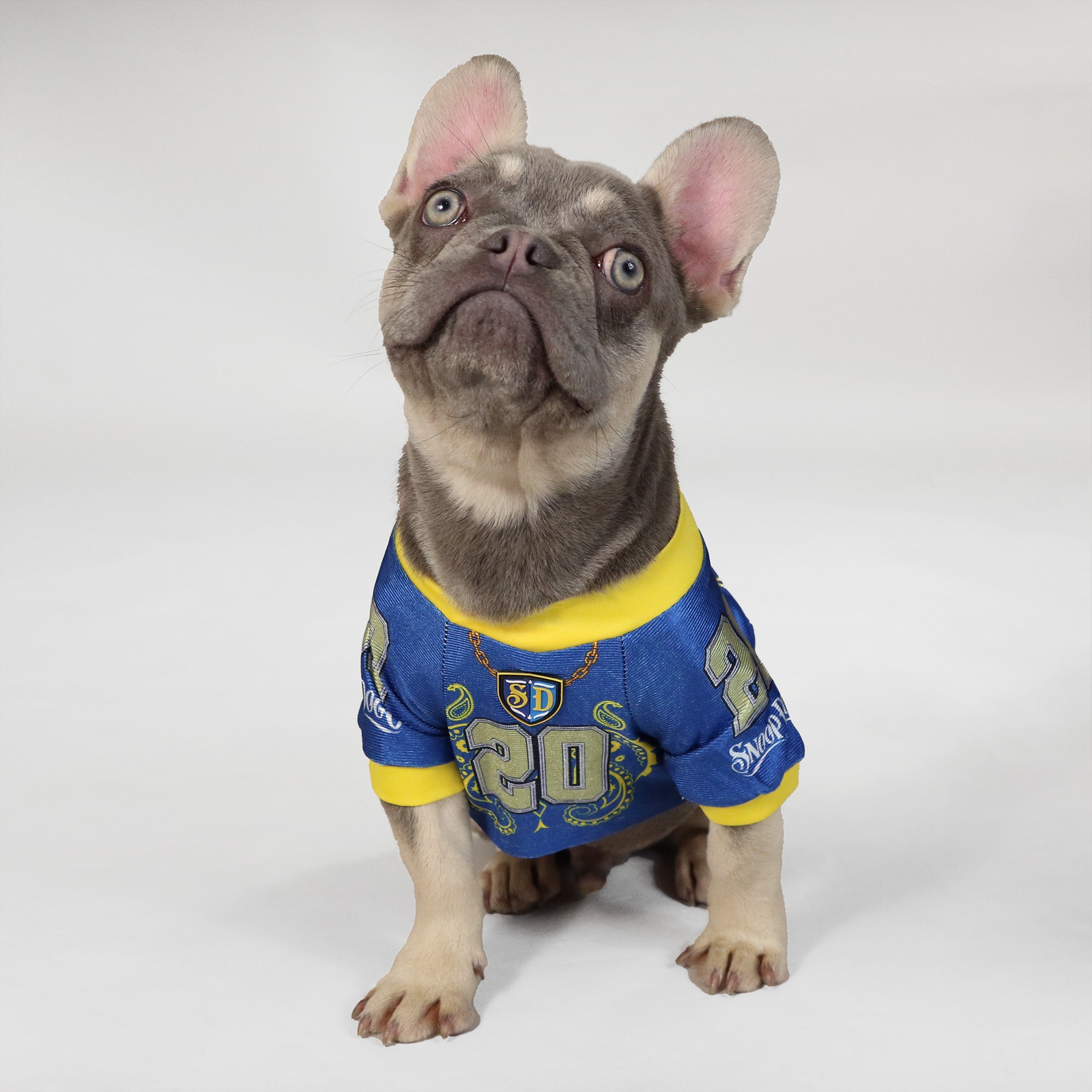 Dog store football jerseys