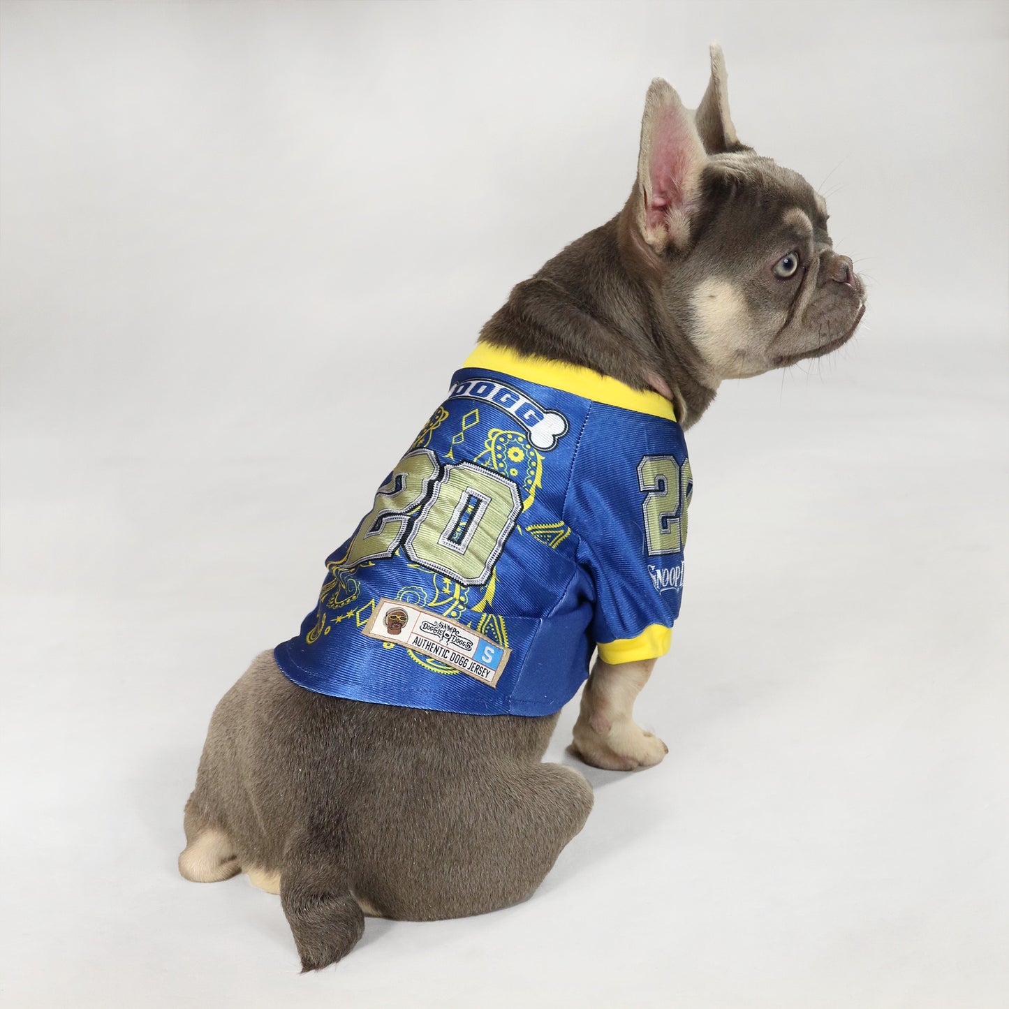 Bealls the French Bulldog wearing the Halftime Deluxe Pet Jersey in size Small.