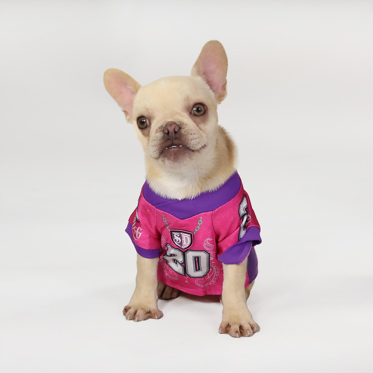 Fern the French Bulldog wearing the Boss Lady Deluxe Pet Jersey in size Extra Small.