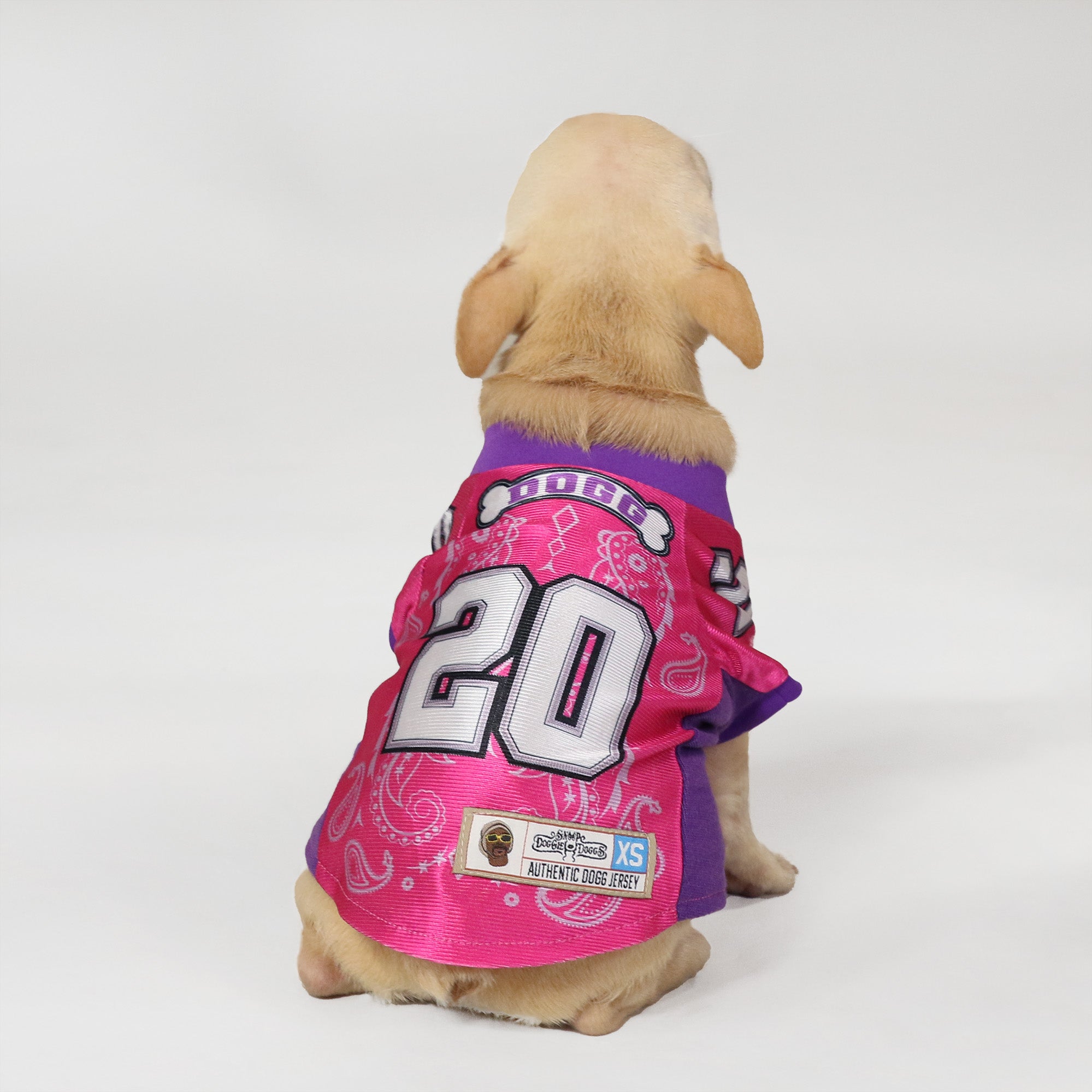 Chiefs dog outlet jersey