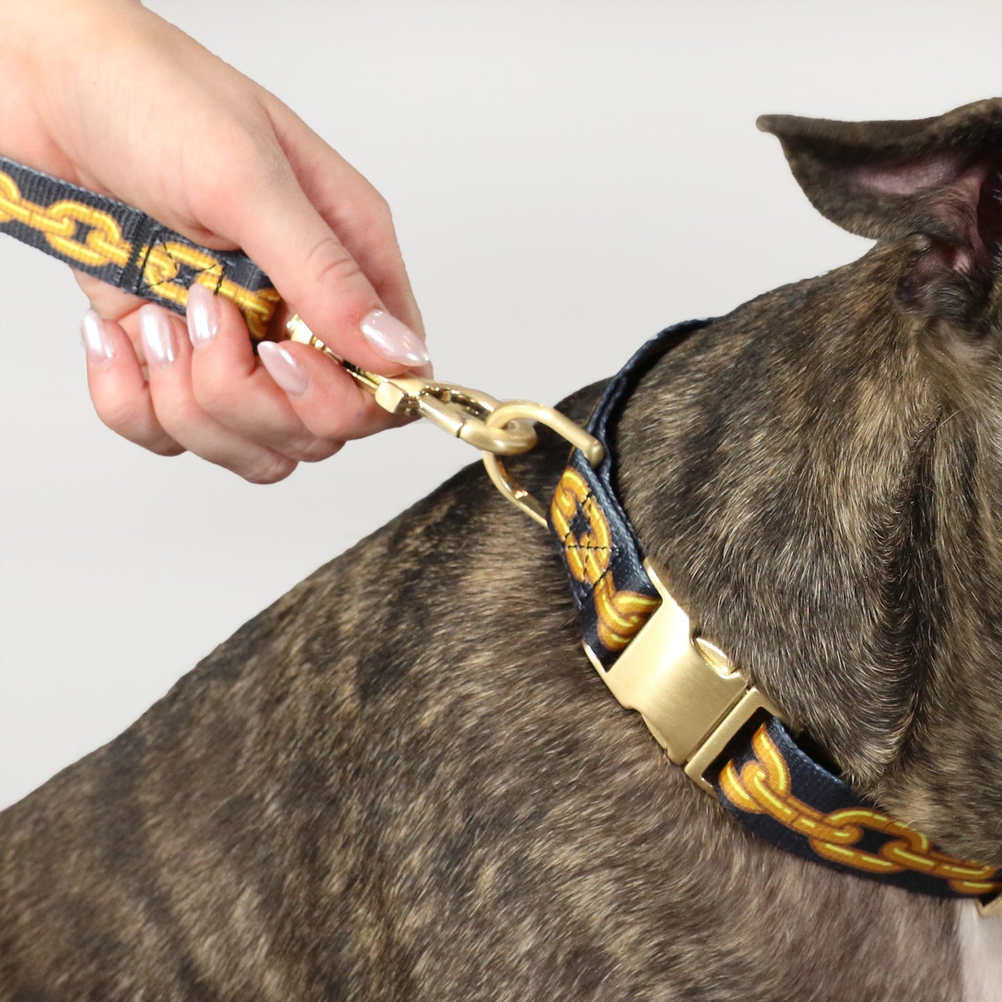 Closeup of hardware and Off The Chain Deluxe Pet Lead design detail.