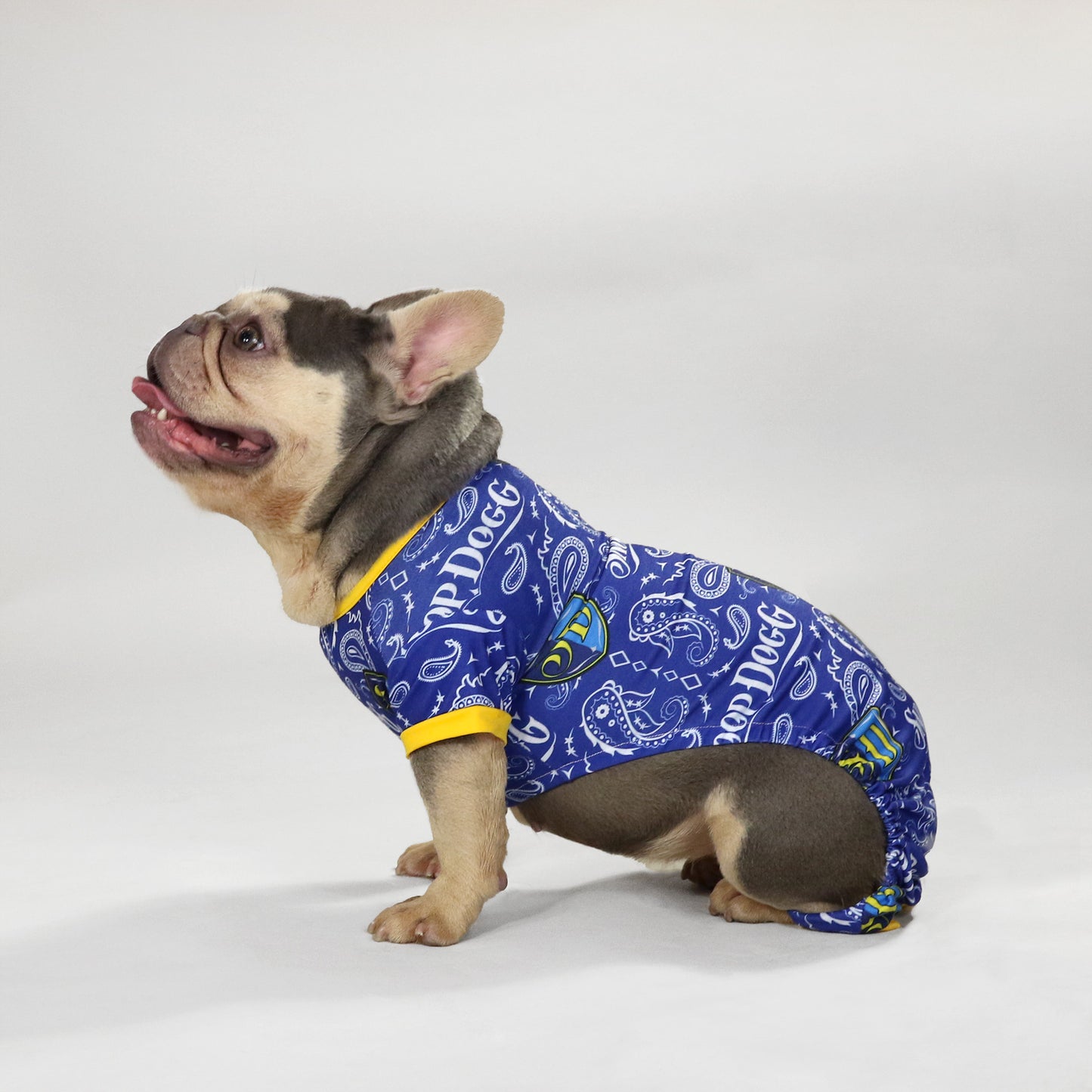 Chunky Monkey the French Bulldog wearing the Halftime Deluxe Pet PJs in size Medium.