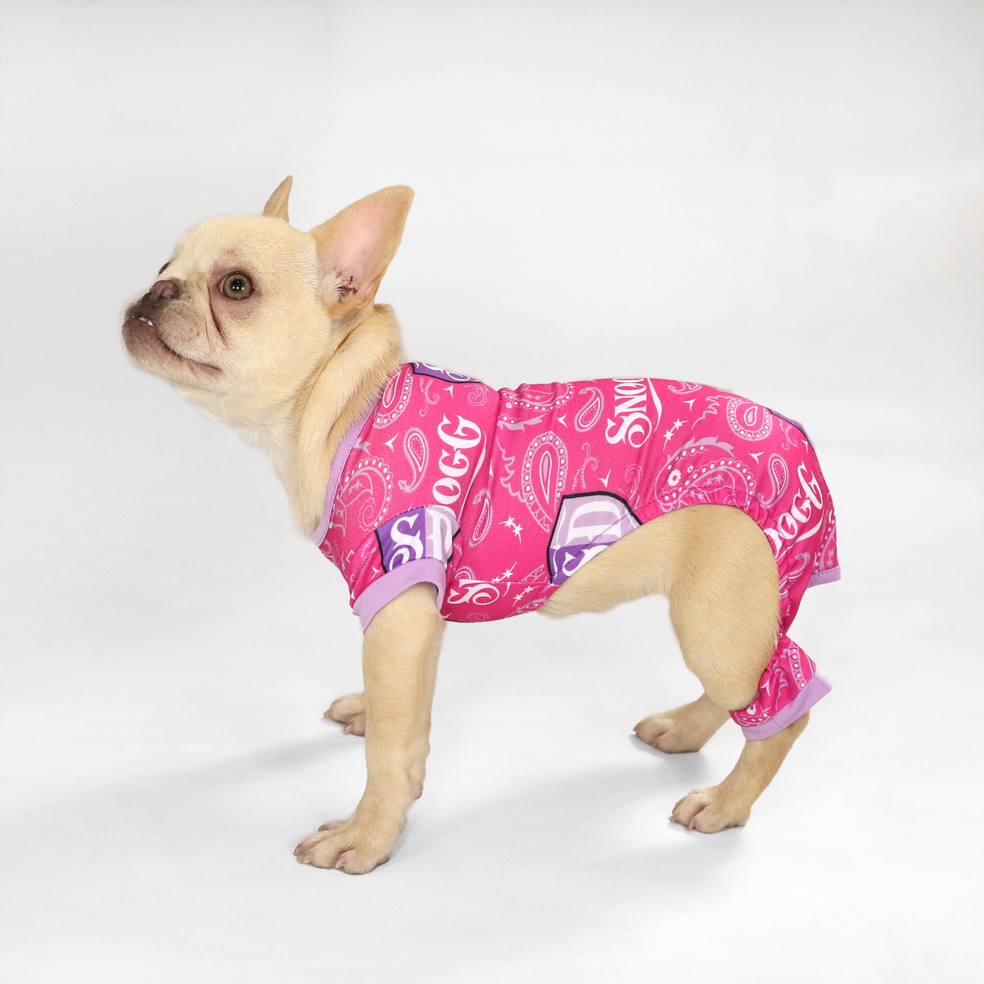 Fern the French Bulldog wearing the Boss Lady Deluxe Pet PJs in size Extra Small.