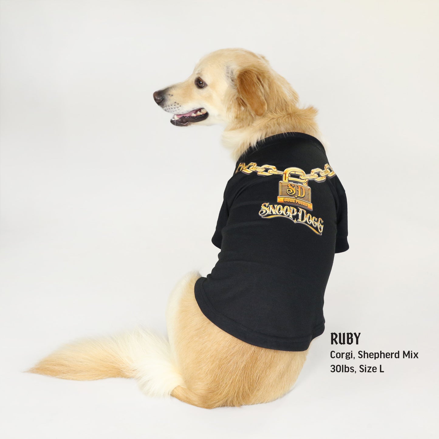 Ruby the Corgi, Shepherd Mix wearing the Off The Chain Deluxe Pet T-Shirt in size Large.