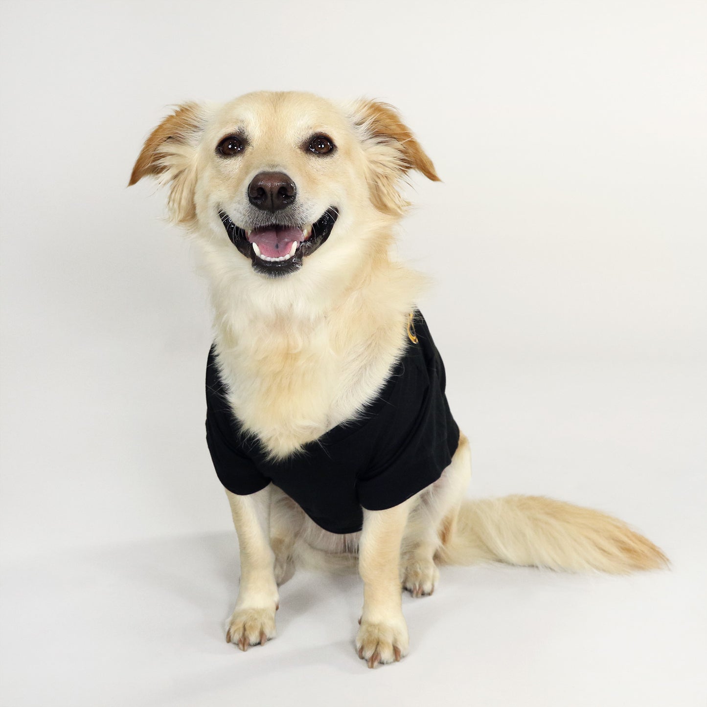 Ruby the Corgi, Shepherd Mix wearing the Off The Chain Deluxe Pet T-Shirt in size Large.