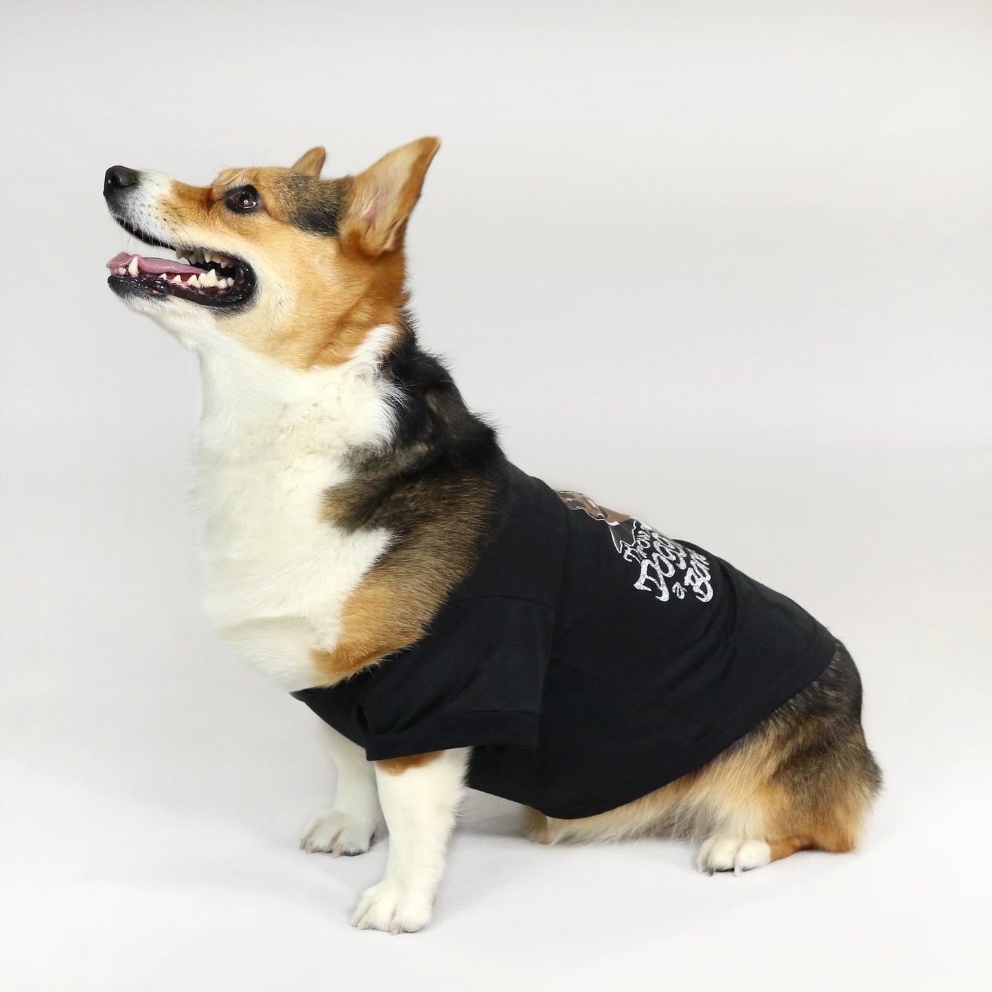 Sunny the Corgi wearing the Throw A Dogg A Bone Deluxe Pet T-Shirt in size Large.
