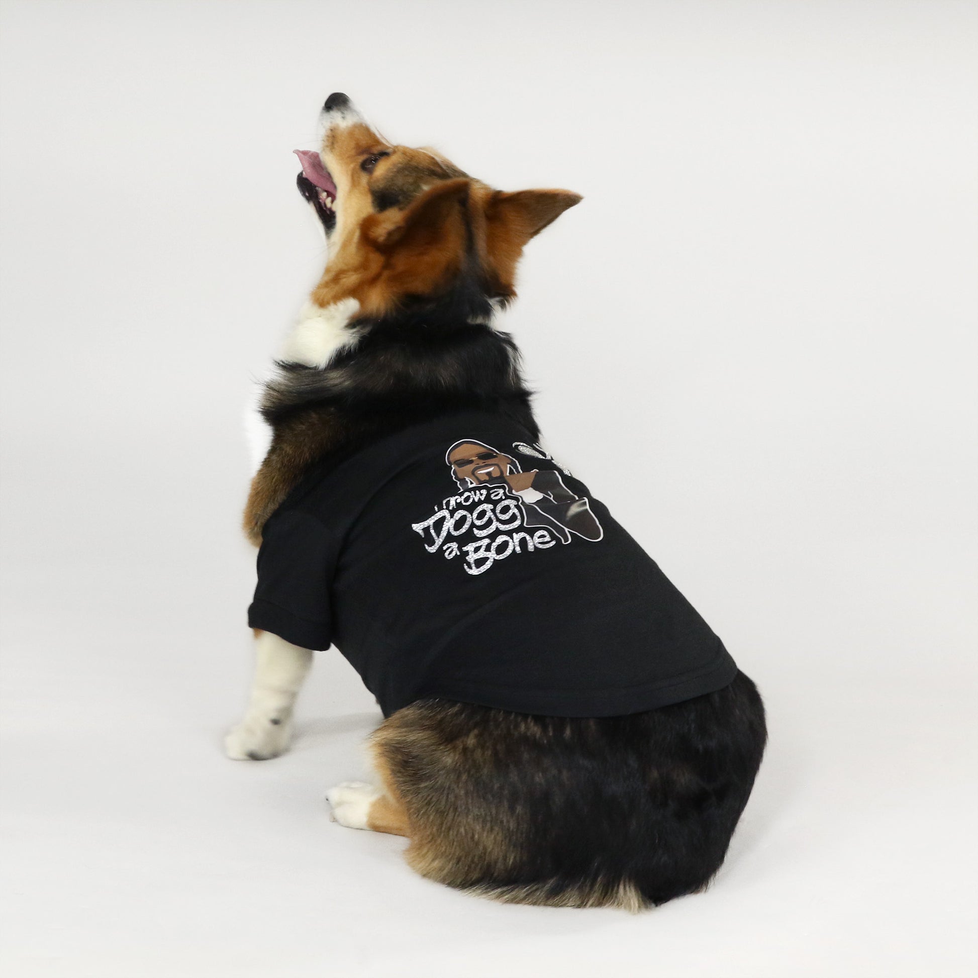 Sunny the Corgi wearing the Throw A Dogg A Bone Deluxe Pet T-Shirt in size Large.