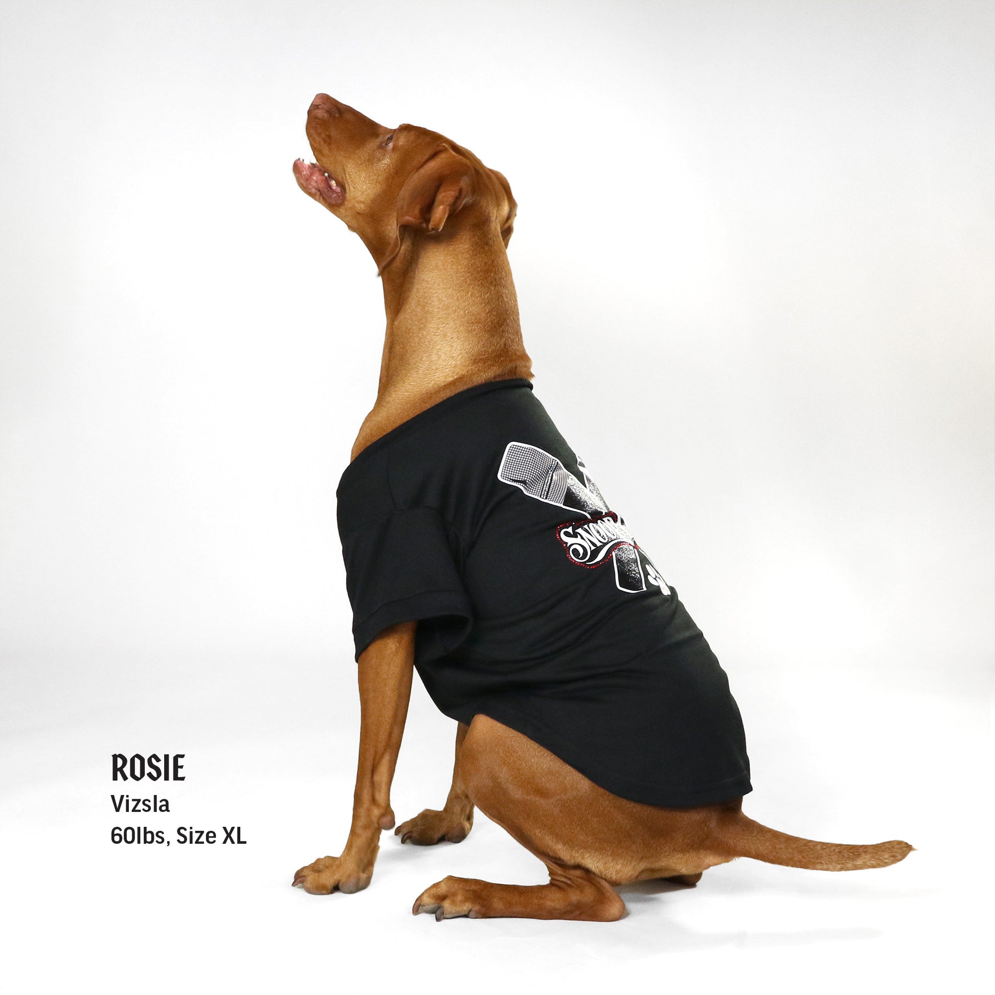 Rosie the Vizsla wearing the Mic Drop Deluxe Pet T-shirt in size X-Large.
