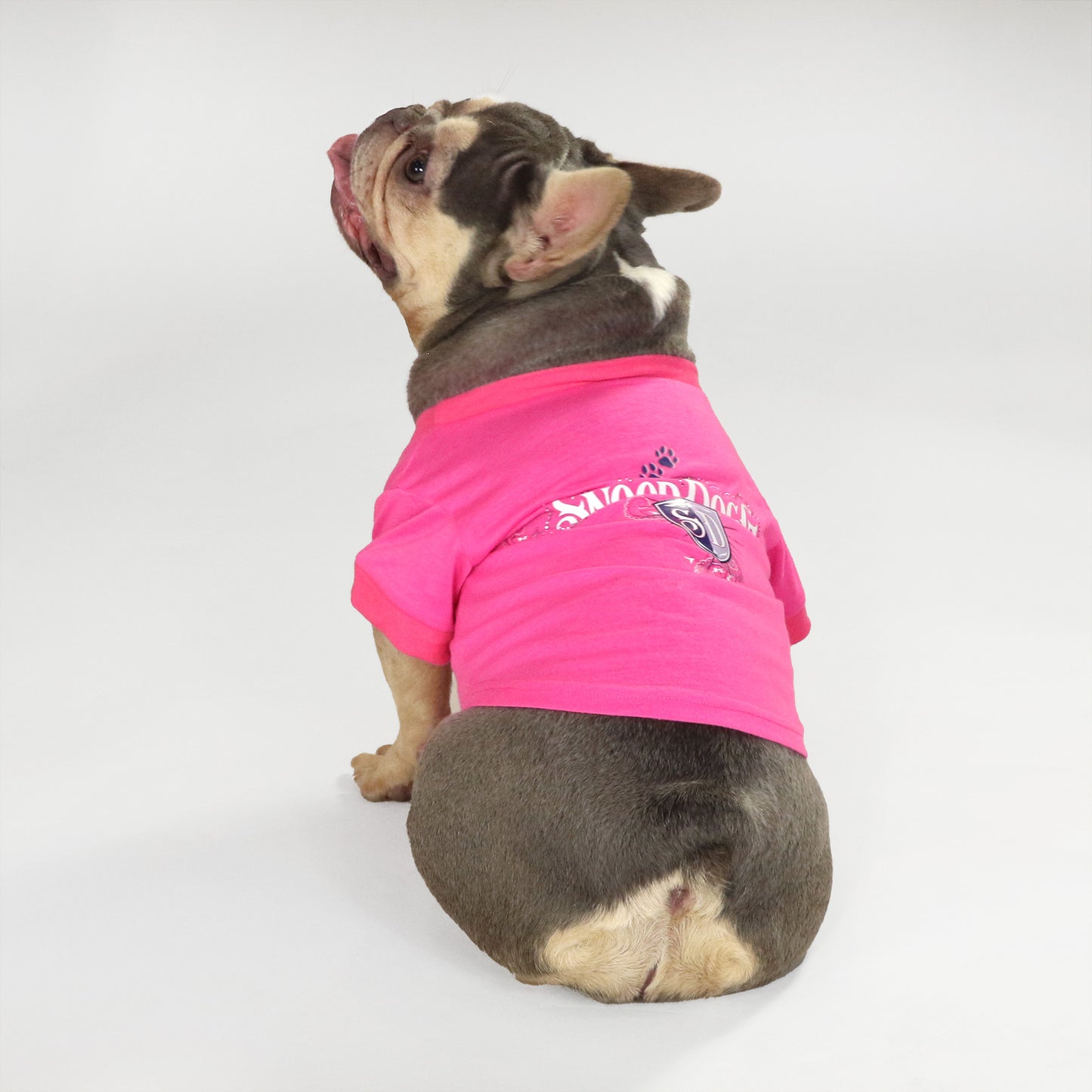 Chunky Monkey the French Bulldog wearing the Boss Lady Deluxe Pet T-Shirt in size Medium.