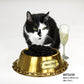 Bottlecat the Black and white cat sitting next to the Large Deluxe Gold Pet Bowl and a glass of champagne.