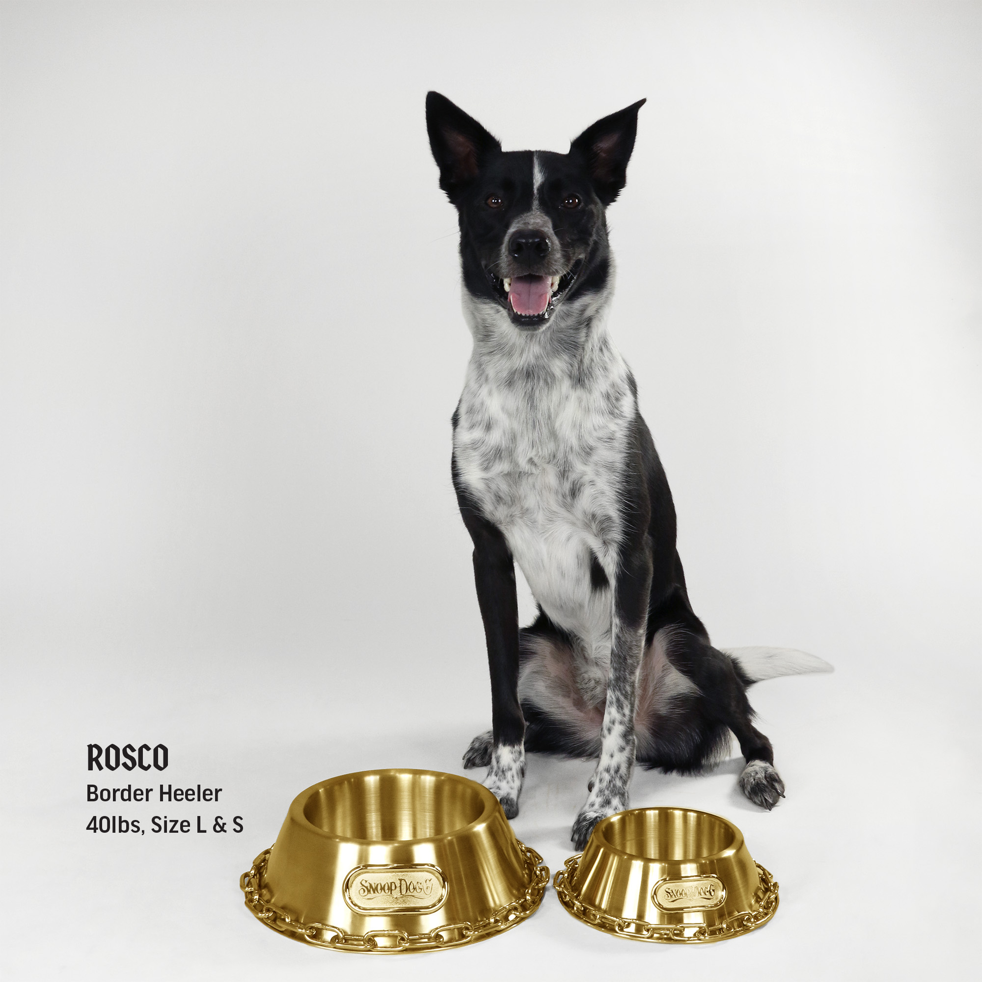 Deluxe Gold Pet Bowl – Off the Chain – Snoop Doggie Doggs