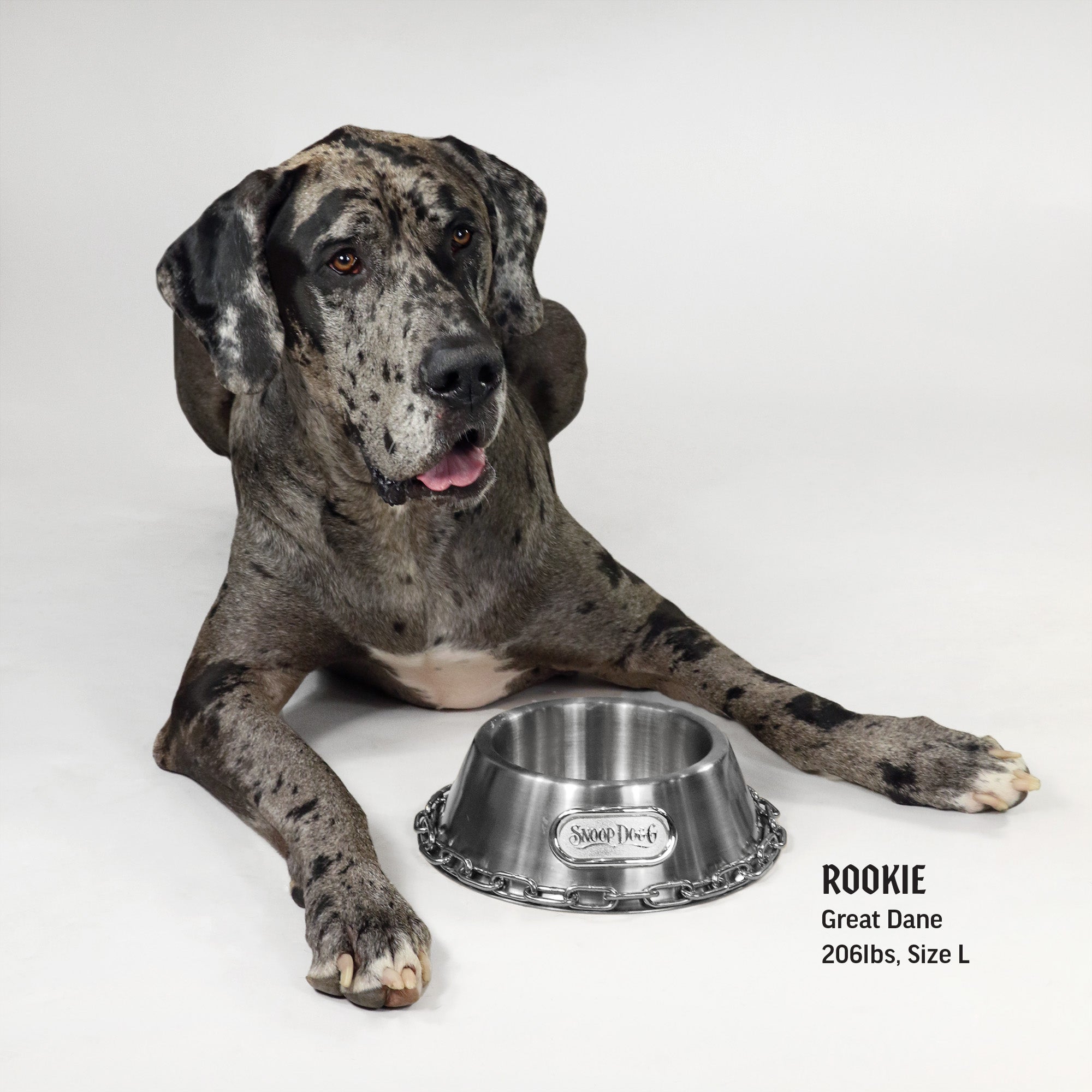 Great dane shop food bowl