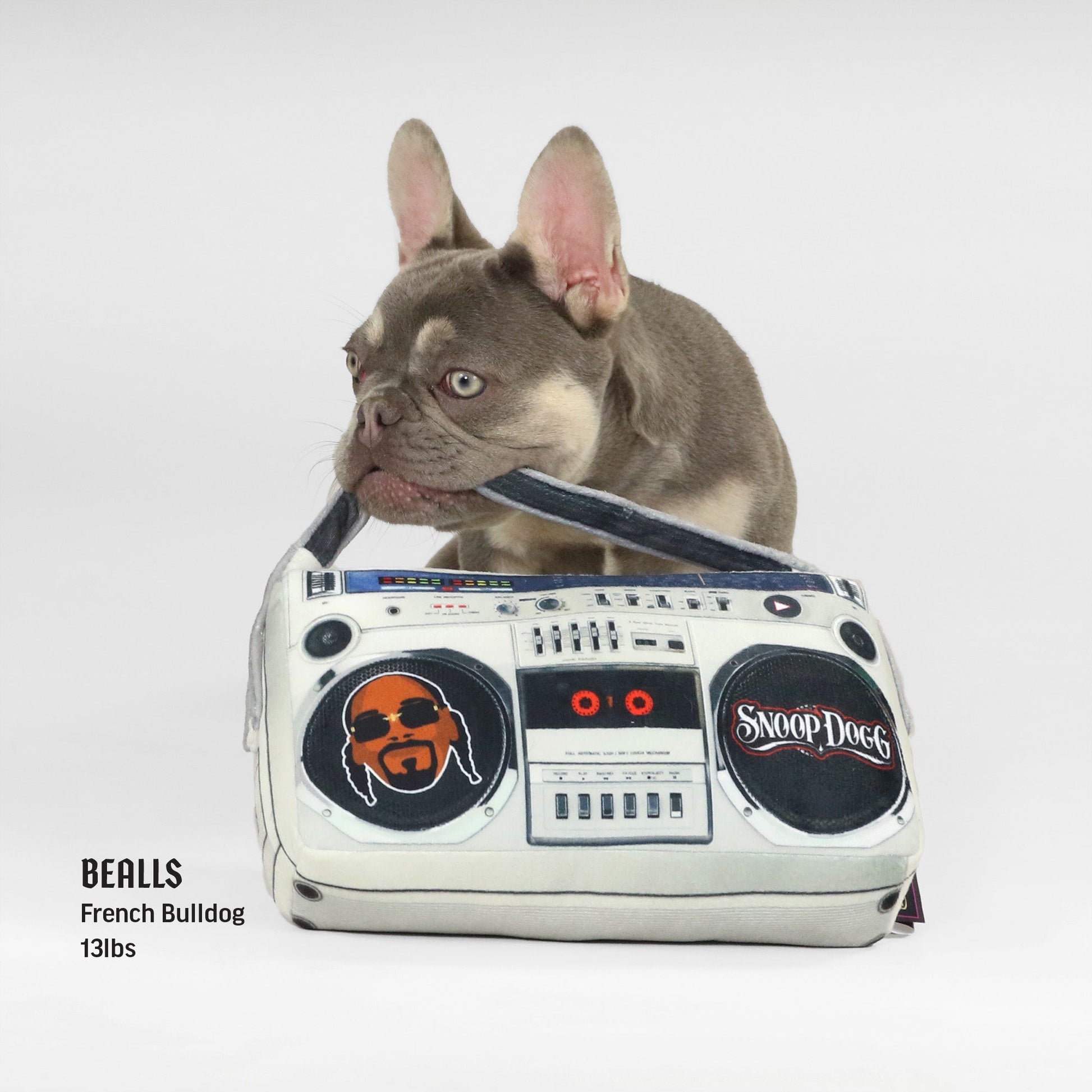 Deluxe Boom Box Pet Toy – Snoop Doggie Doggs