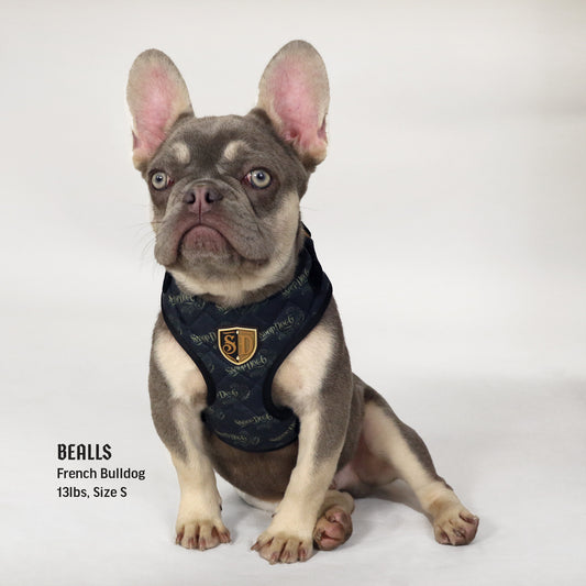 Bealls the French Bulldog wearing the Deluxe Quilted Pet Harness in size Small.