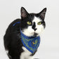 Bottlecat the Black and White Cat wearing the Halftime Deluxe Pet Bandana in size Small.