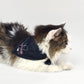 River the Norwegian Forest Cat wearing the Mic Drop Pet Bandana in size Small.