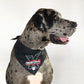 Rookie the Great Dane wearing the Mic Drop Deluxe Pet Bandana in size Extra Large.